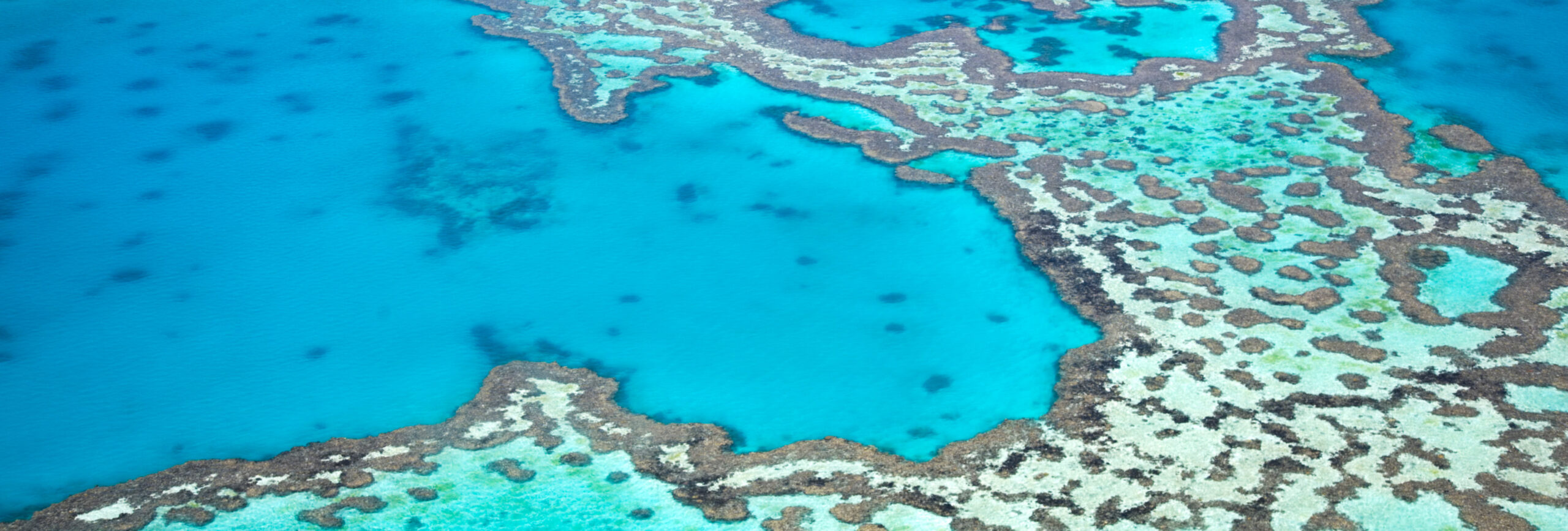 Blick auf das Great Barrier Reef, dass grösste Korallenriff der Welt - insysta