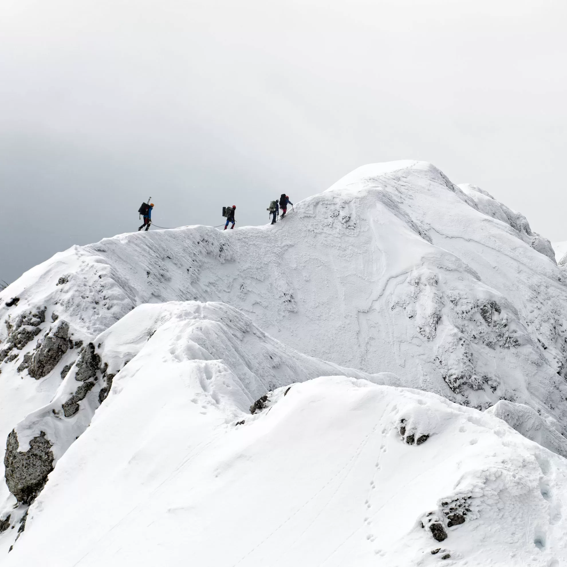 Vier Personen wandern auf einem schneebedeckten Berggrat - insysta